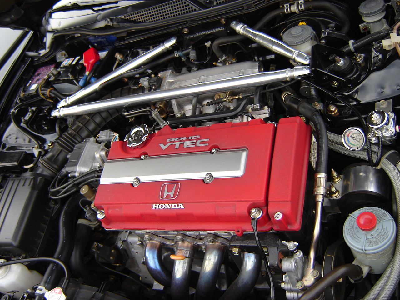 DSC08605.JPG