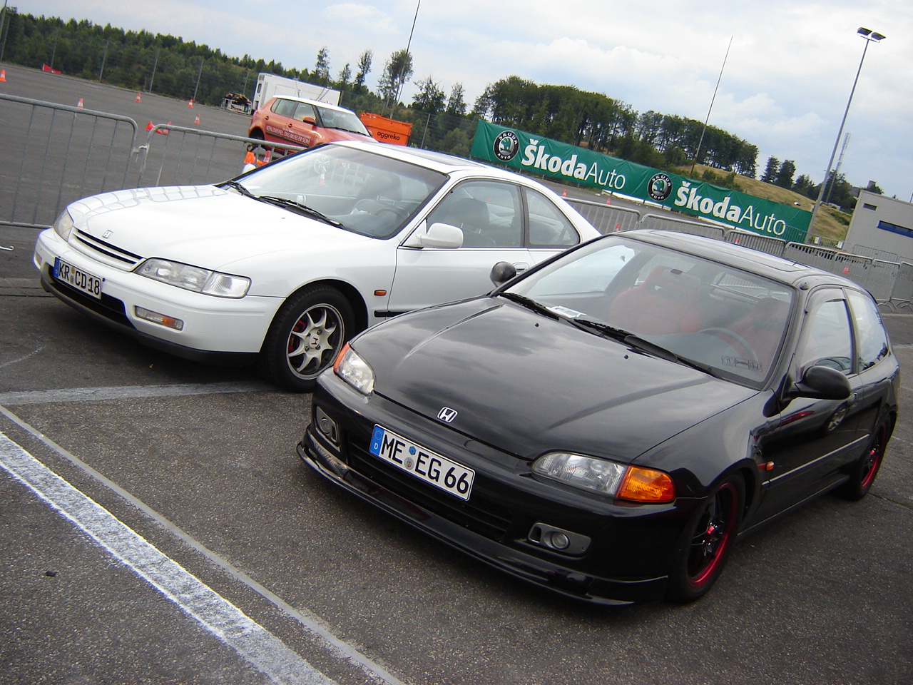 DSC08607.JPG