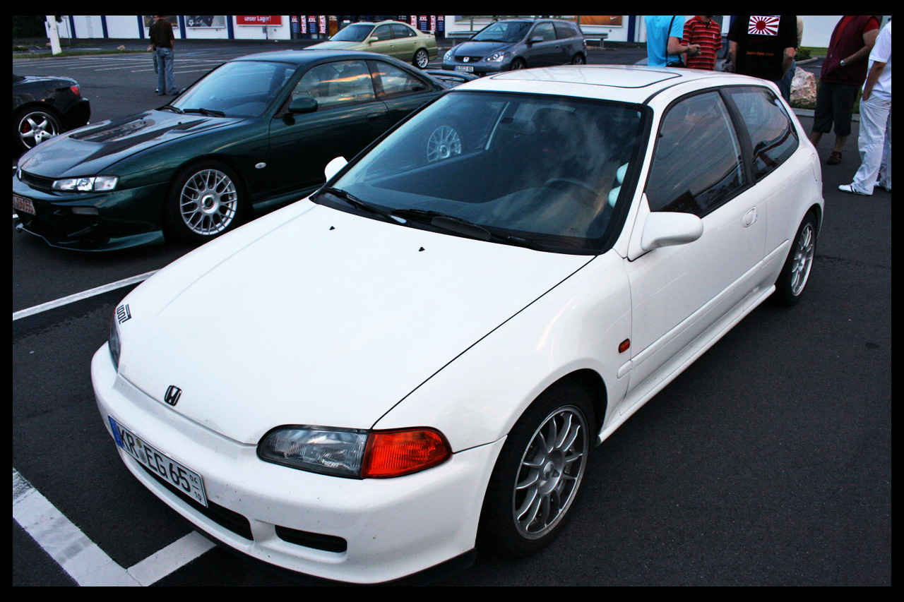 eg6.jpg
