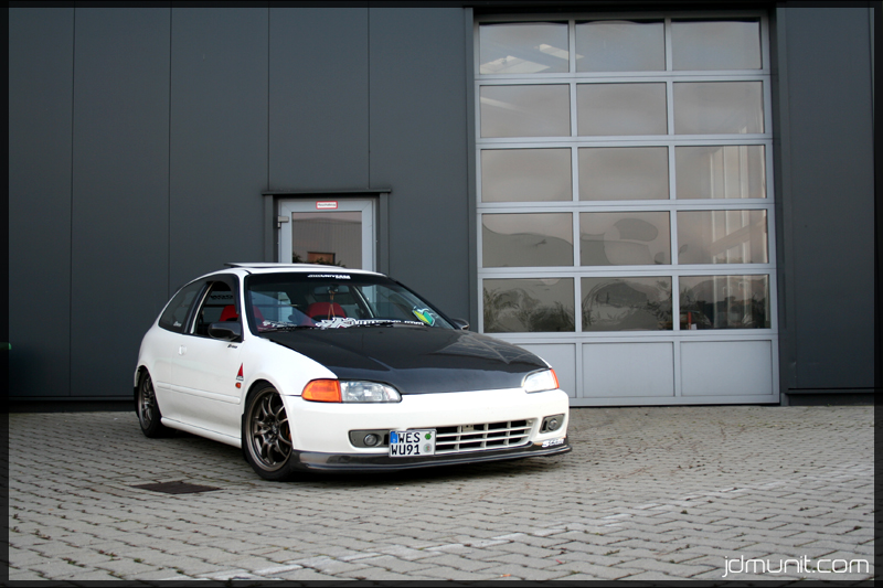 fw88aj4cx.jpg