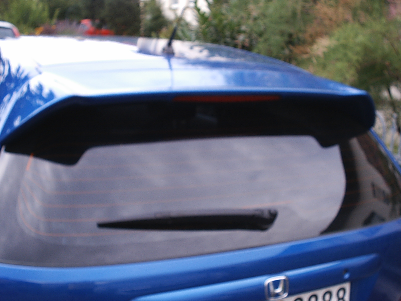 S2010145.JPG