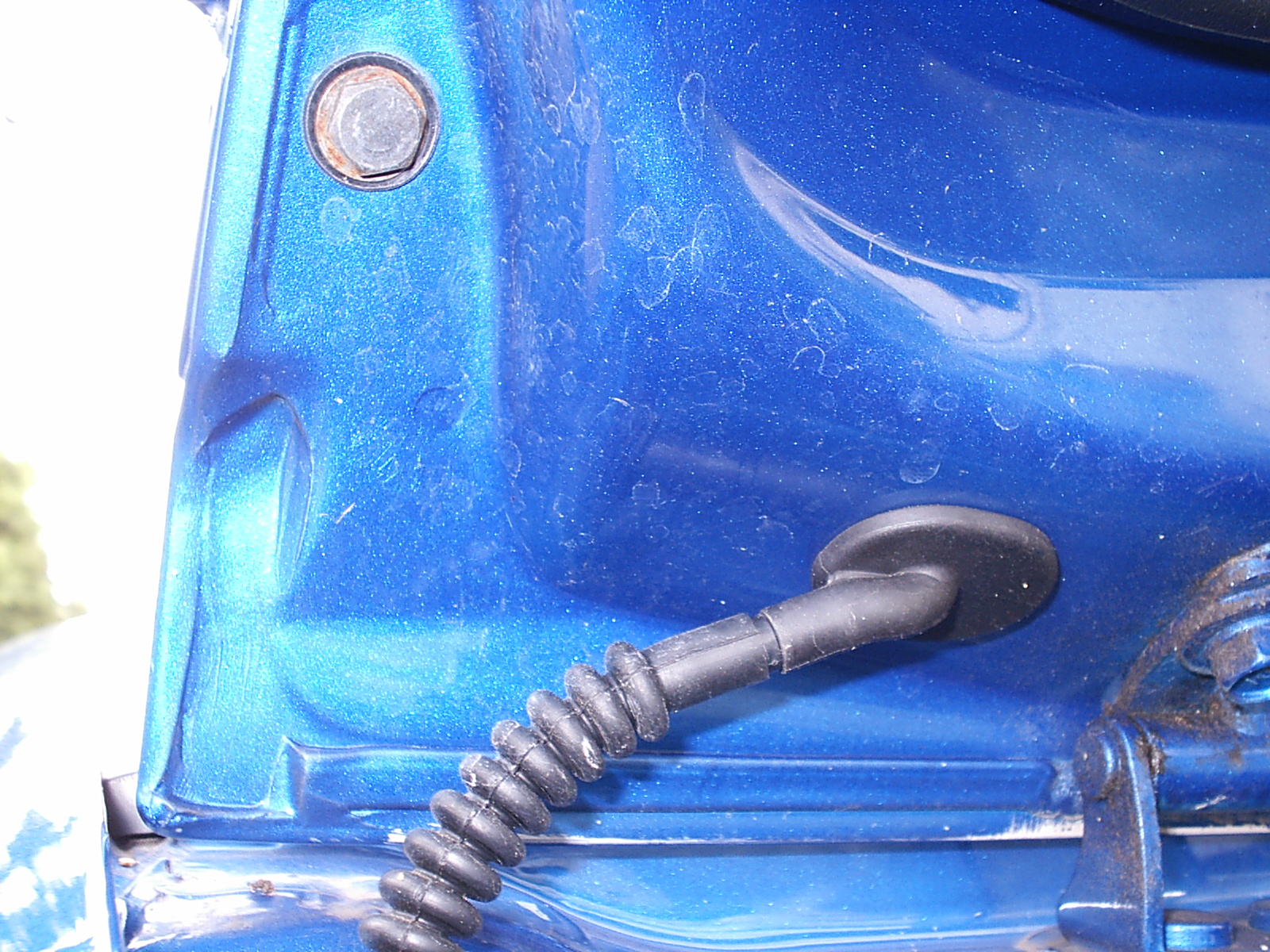 S2010148.JPG