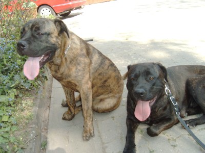 IMAG0065.JPG