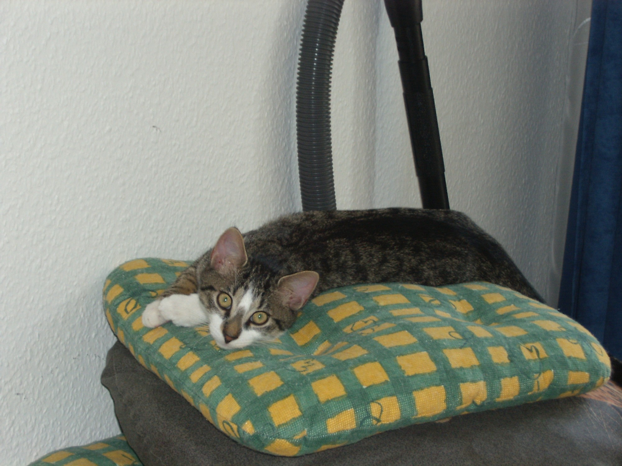 c 032.jpg