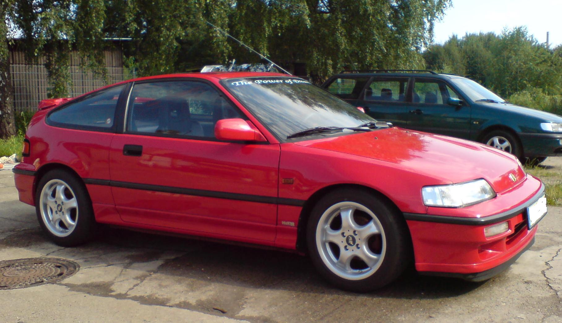 dsc00006_1187798624.jpg