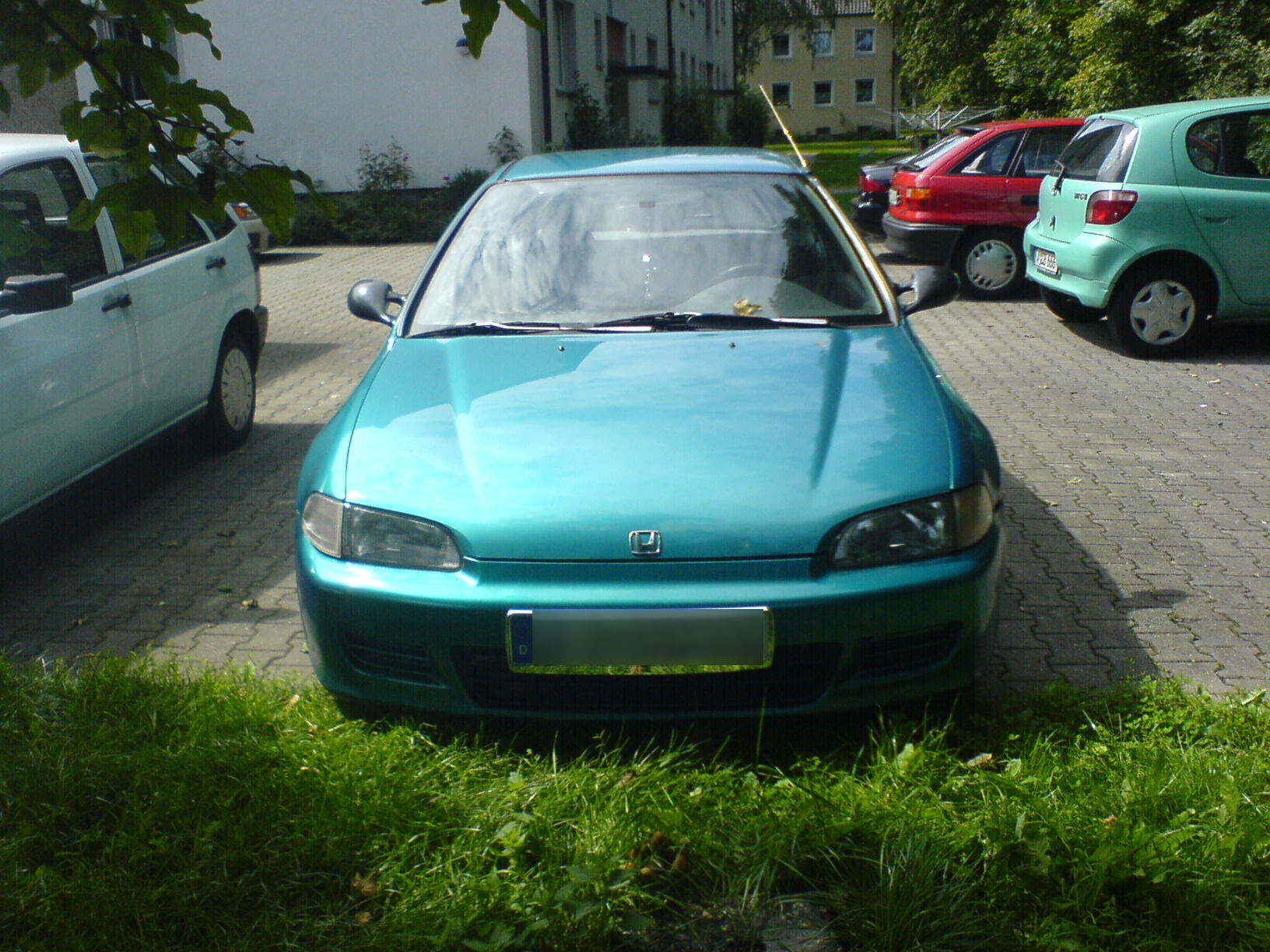 DSC00185.JPG