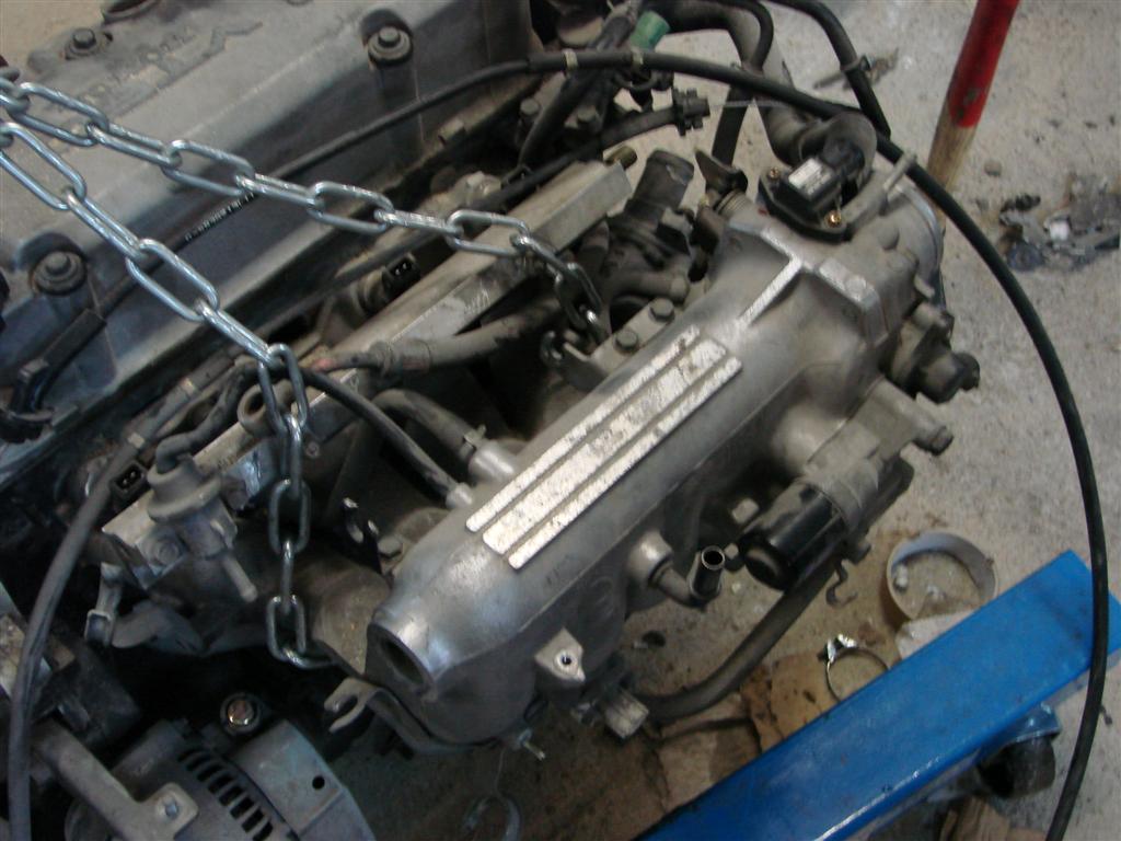 DSC01589 (Large).JPG