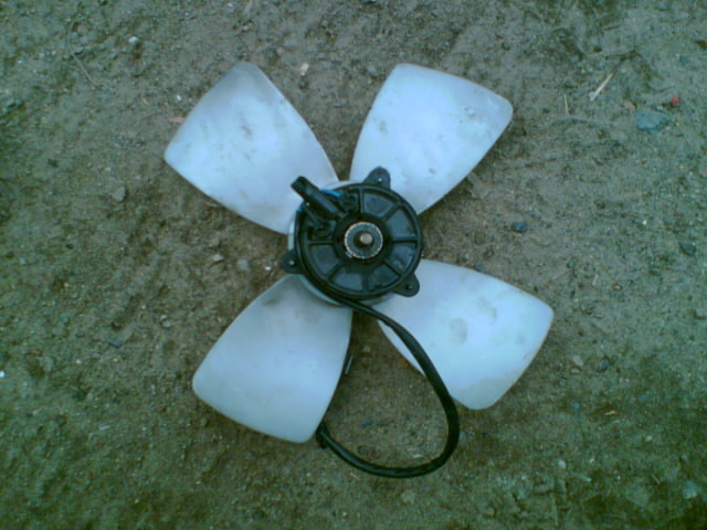 iuimt (1).jpg