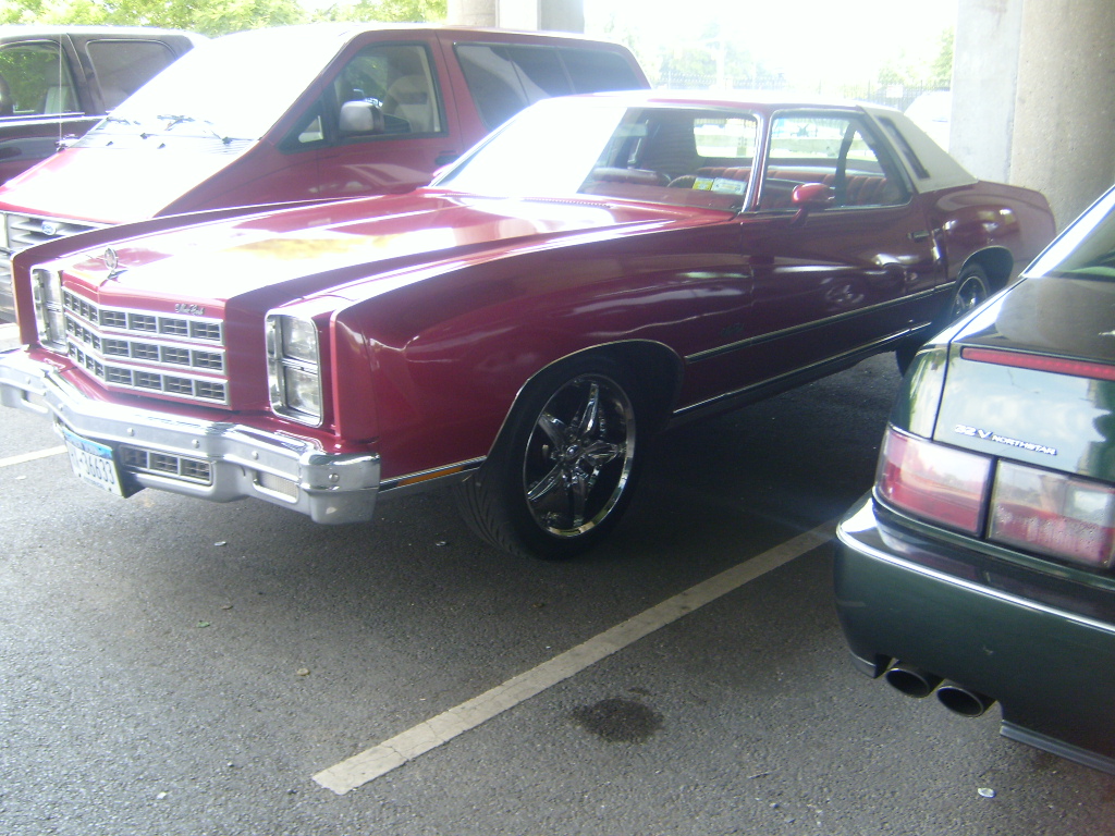 S7009477.jpg