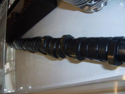 scharfe nocke1.JPG