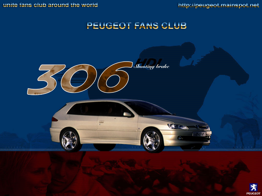 306hdi.jpg