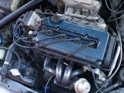 5633_1.JPG