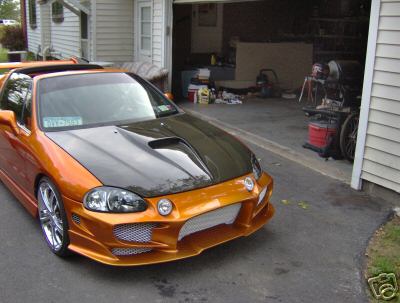 8662_1.jpg