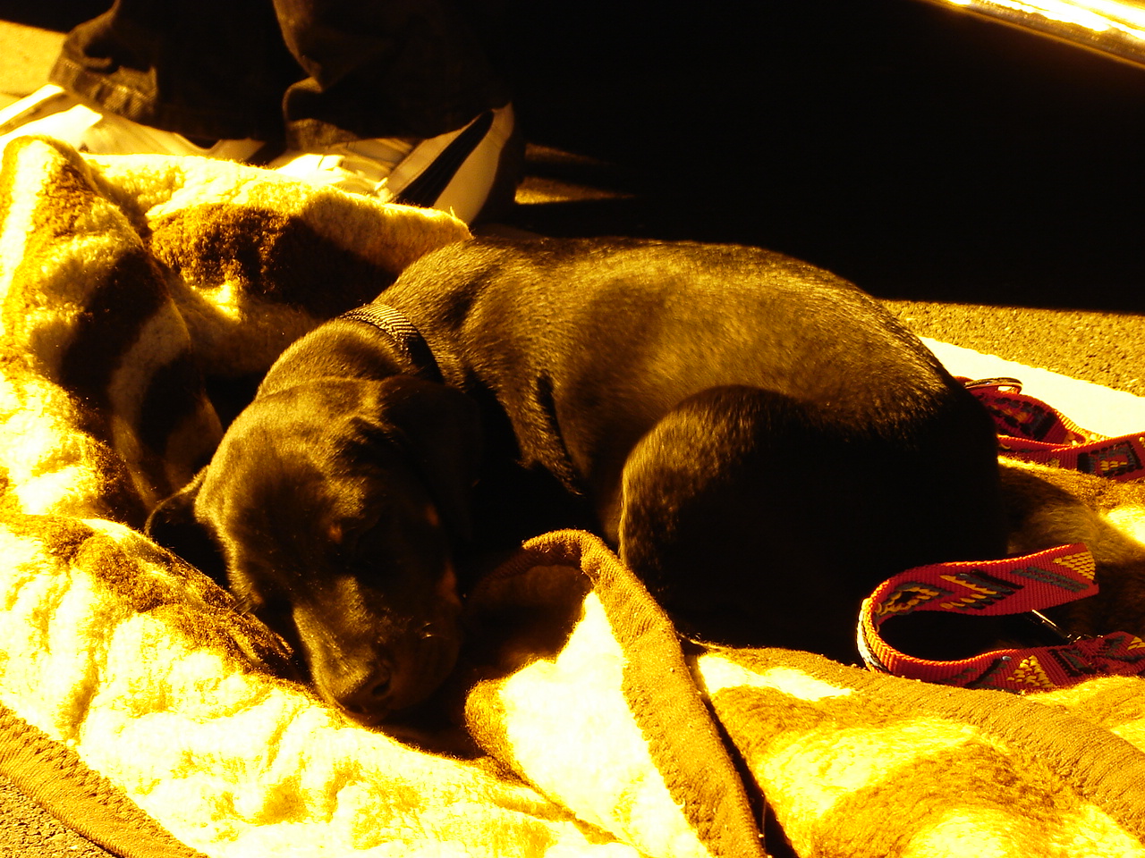DSC09248.JPG