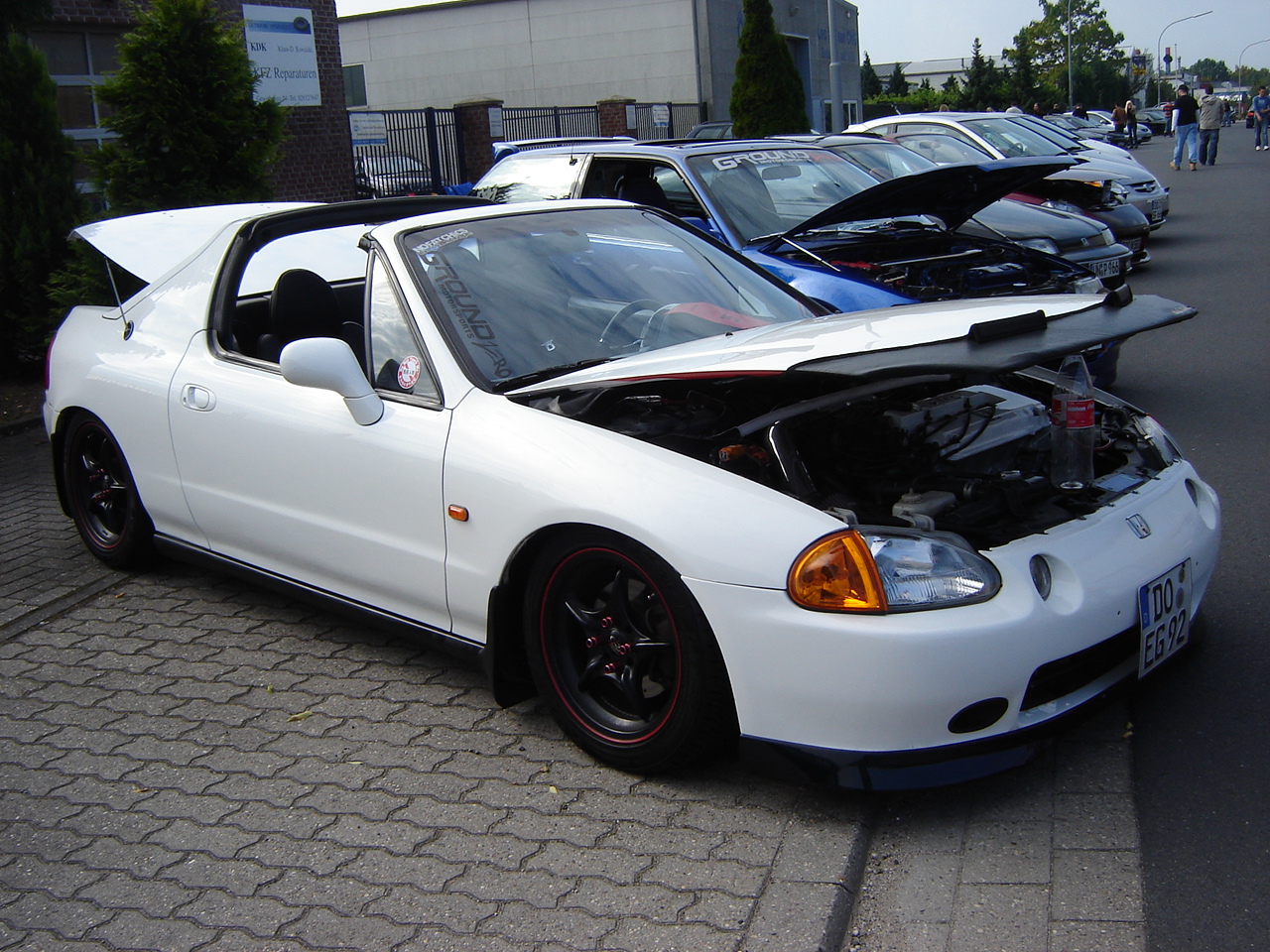 DSC09470.JPG