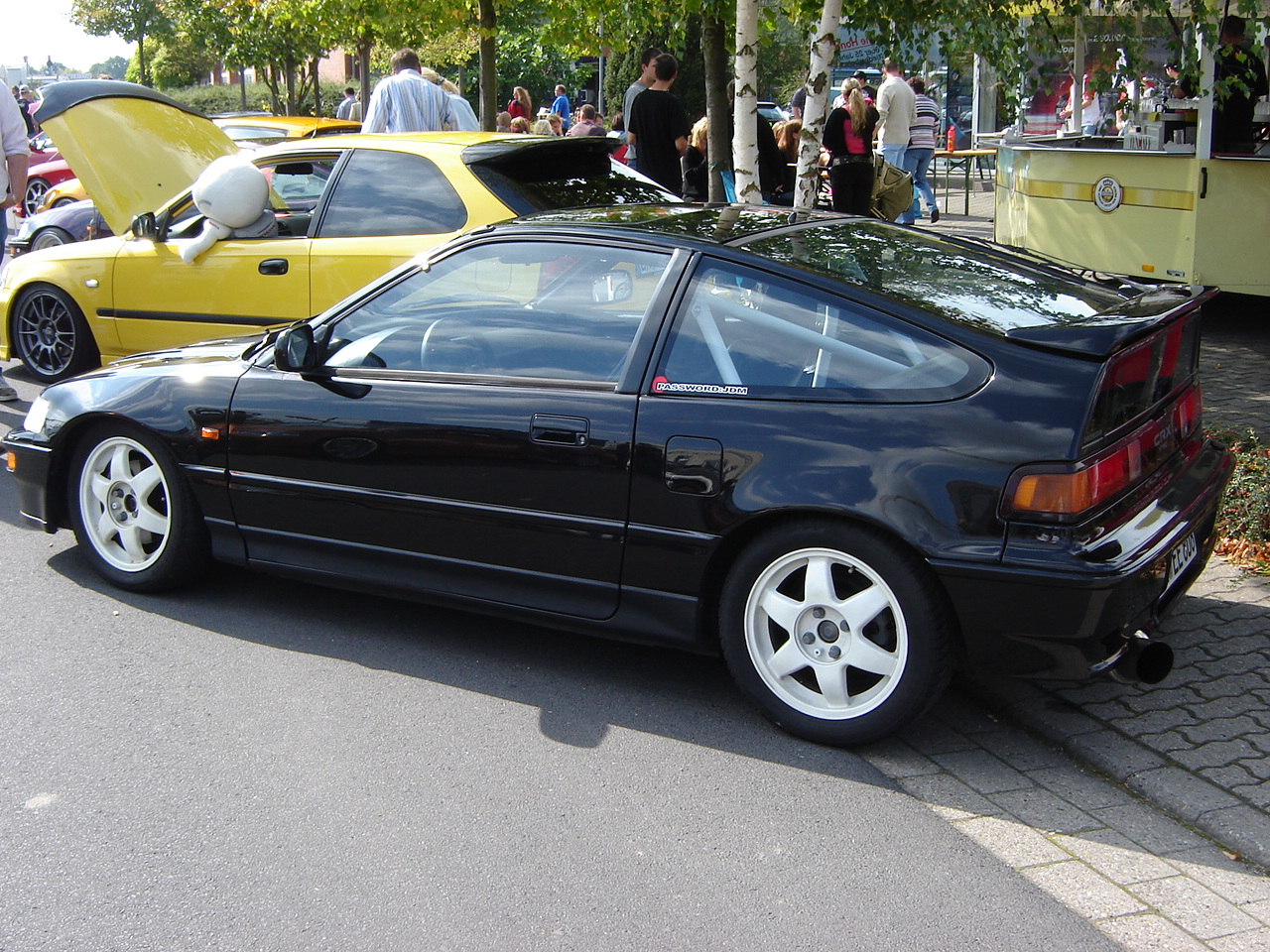 DSC09540.JPG