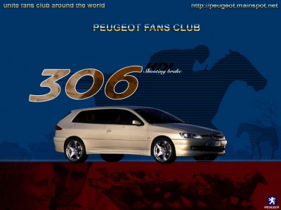 306hdi.jpg