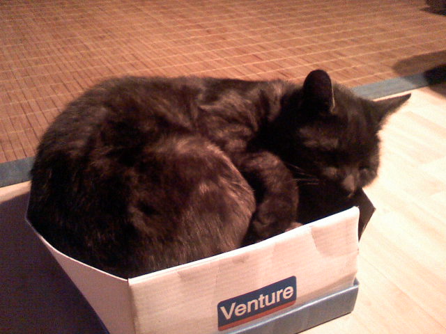 092007230353.jpg