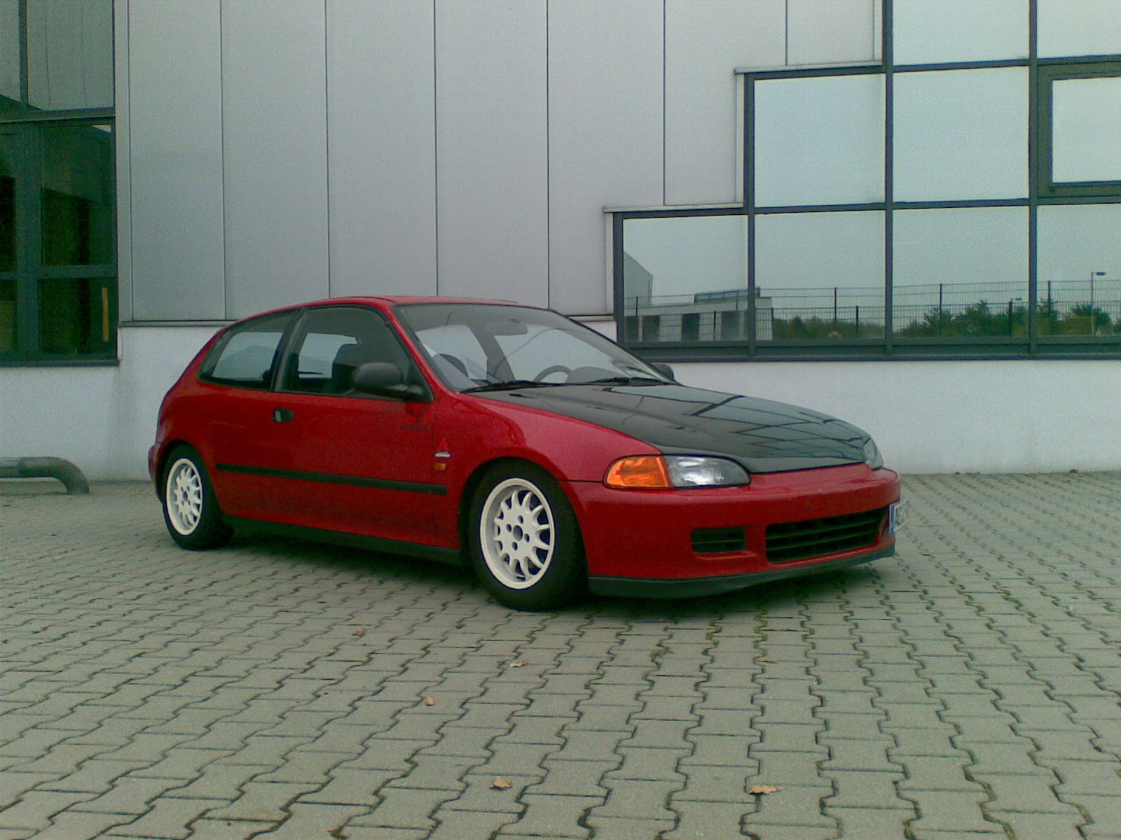 Bild013.jpg