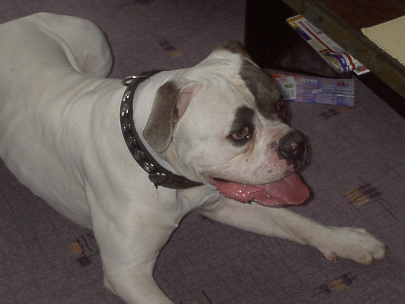Bild 315.jpg