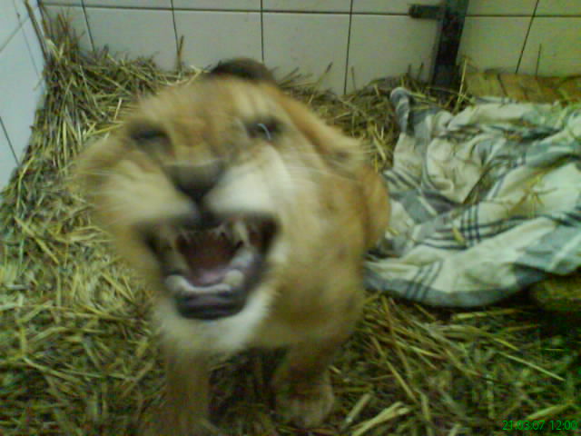 DSC01545.JPG