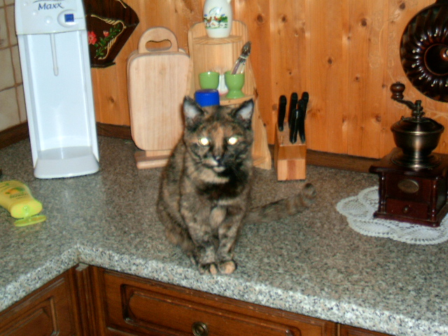 HPIM0789.JPG