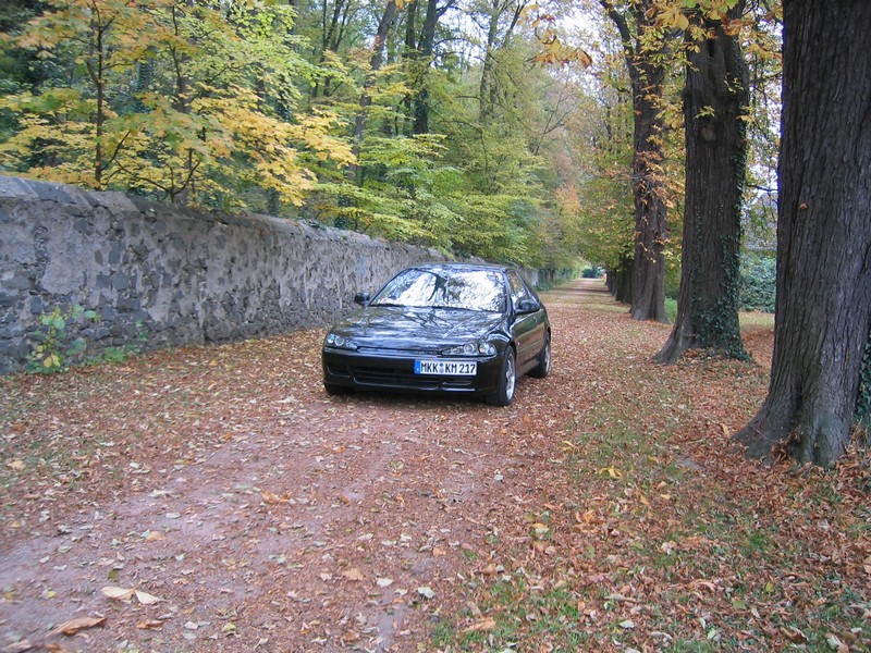 IMG_0004.JPG