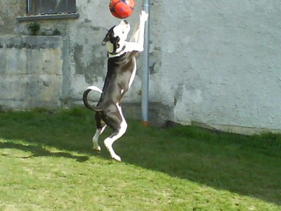 DSC01716.JPG