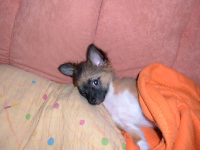 DSCF0614.JPG