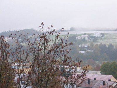 IMG_3396.jpg