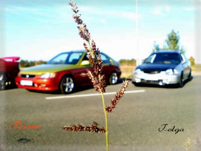 MY EJ6_268.JPG