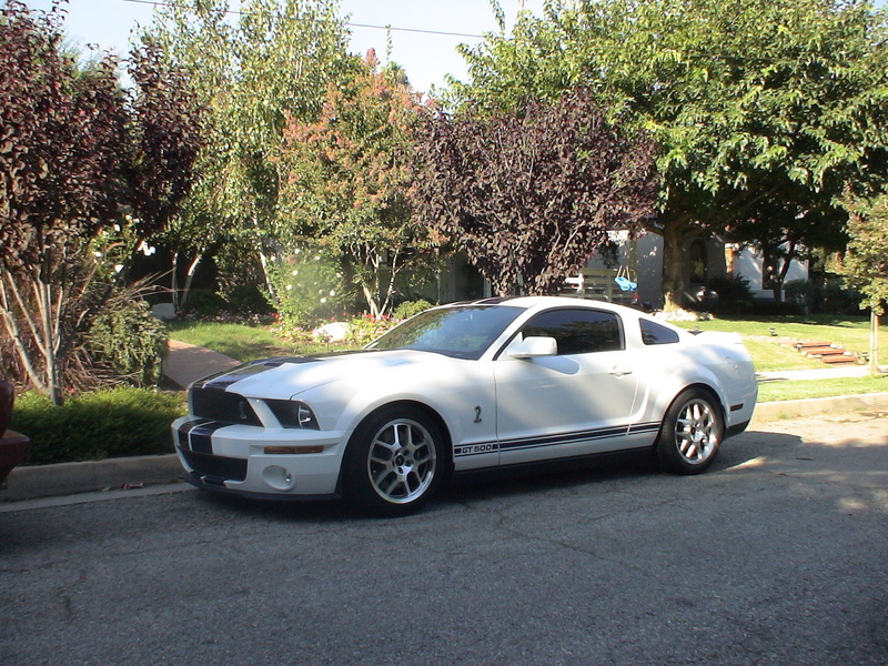 10177-2007-Ford-Mustang%20Shelby-GT500.jpg