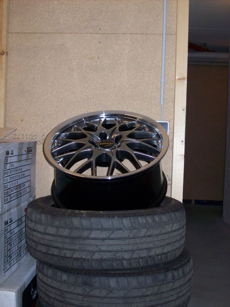 2 Barracuda Indy 8x18.jpg