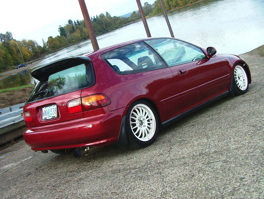 67zm.jpg