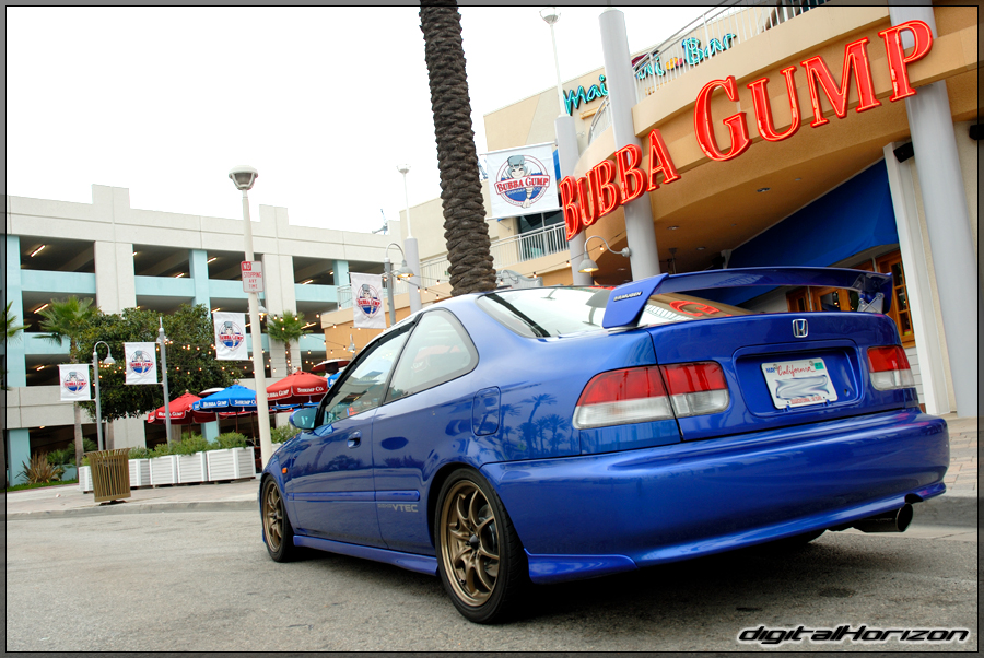 DSC_8321.jpg