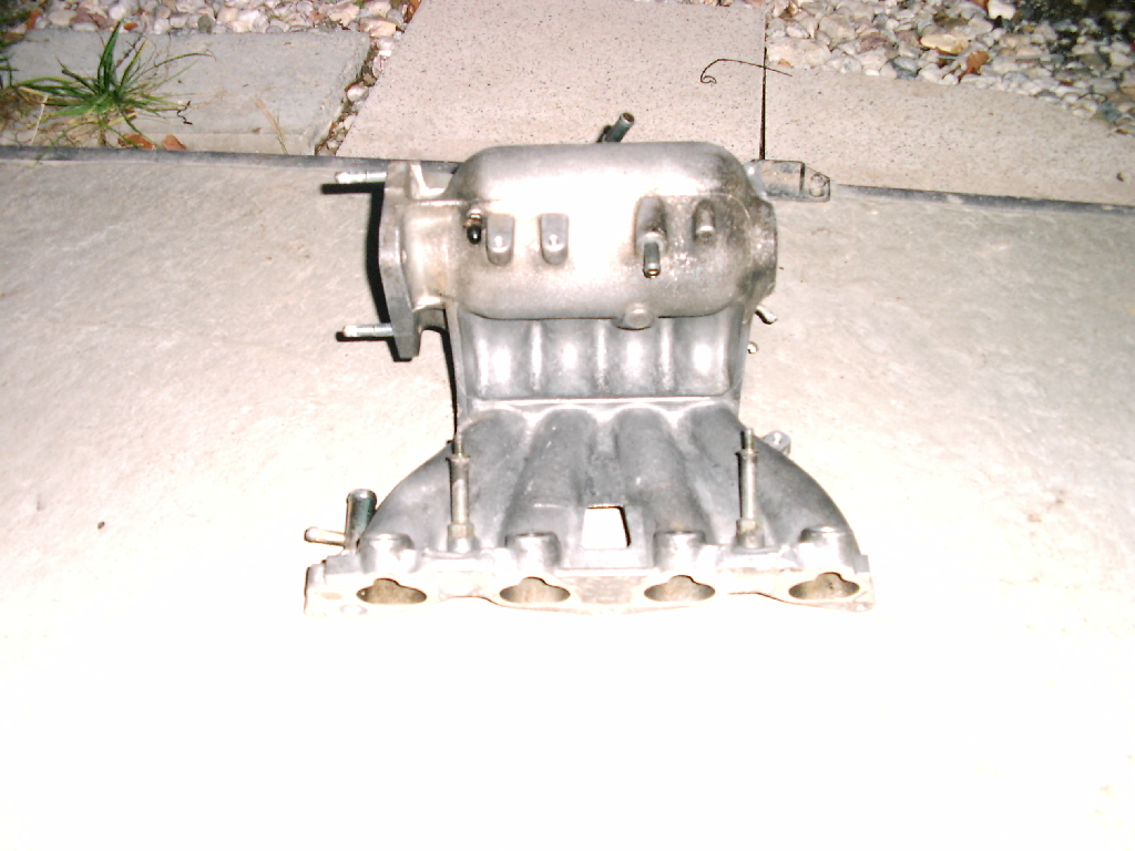 DSCI0953.JPG
