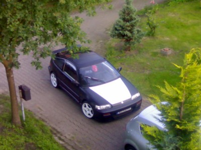 Bild227.jpg