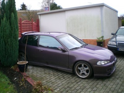 Bild 003.jpg