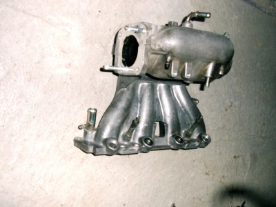 DSCI0956.JPG
