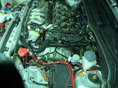 PICT0252a.JPG