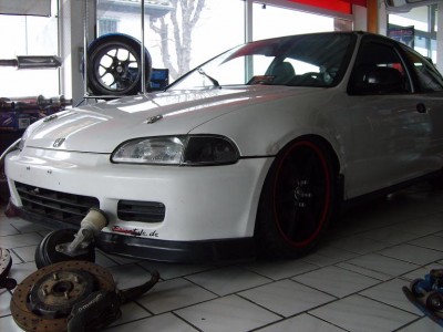 SD530852.JPG