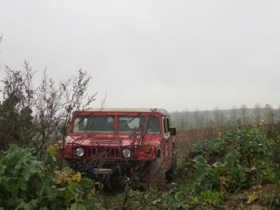 STA42764.JPG