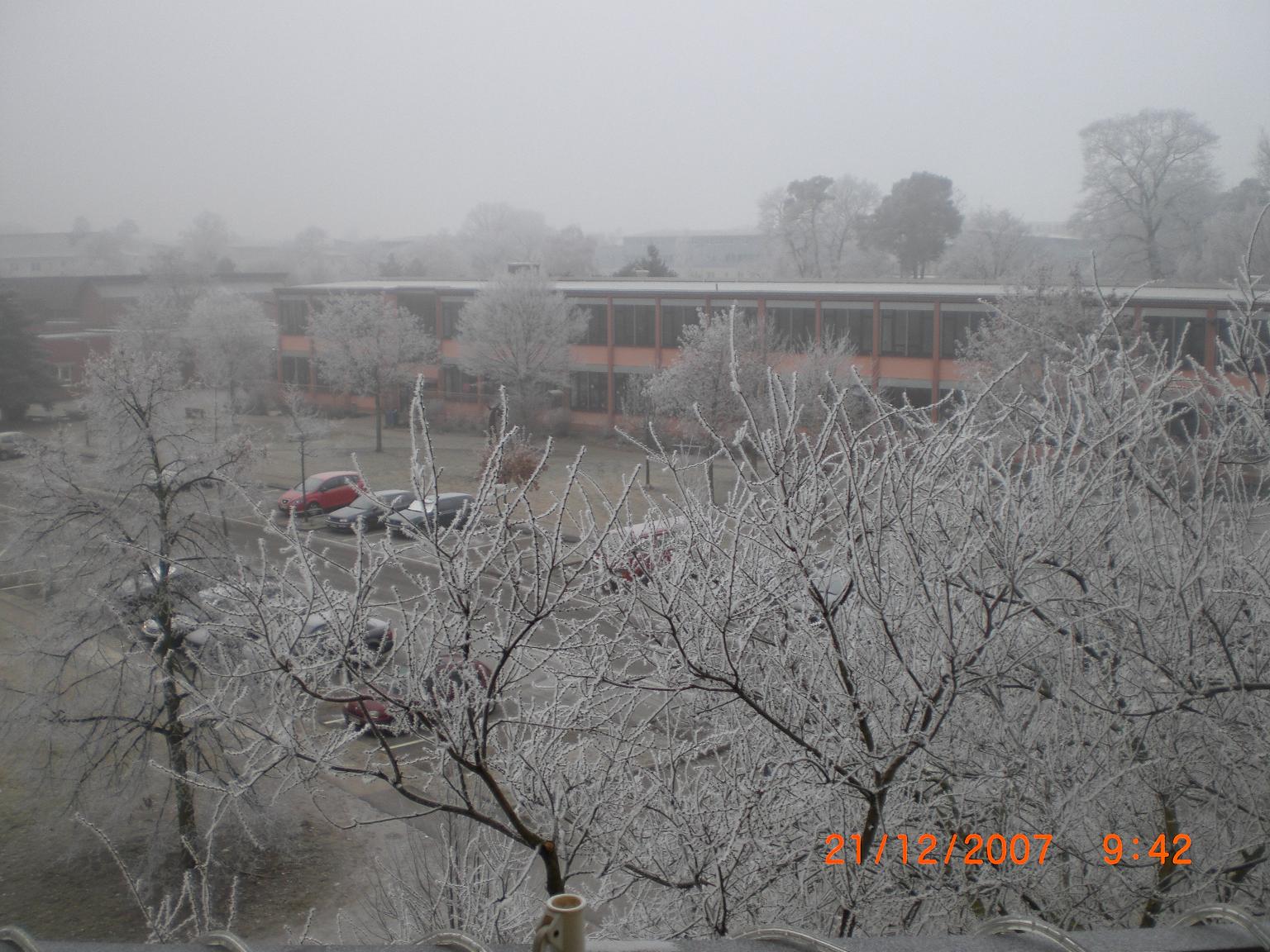 CIMG0516.JPG