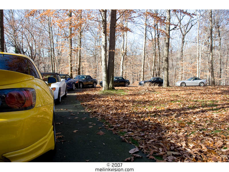 drivewaycurvedline.jpg
