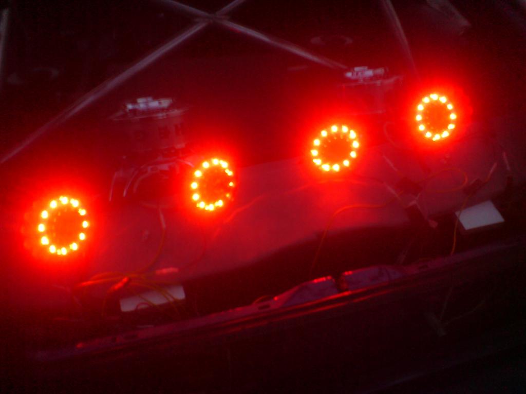 DSC00195 (Large).JPG