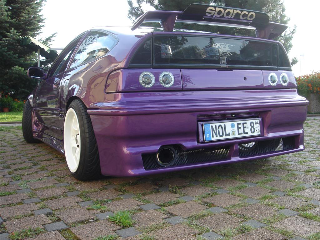 DSC01438 (Large).JPG