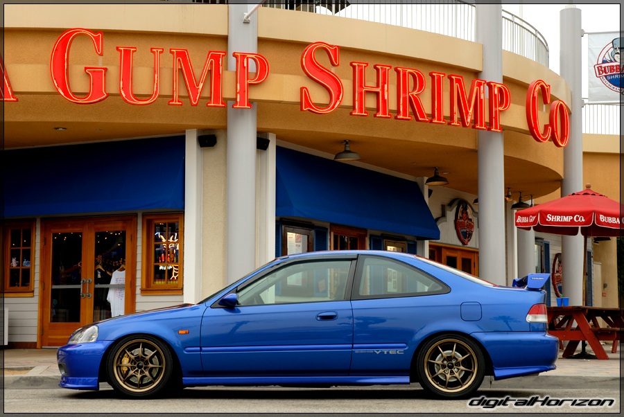 DSC_8296.jpg