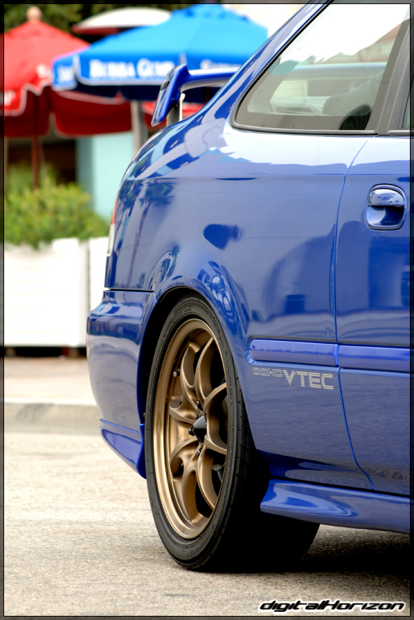 DSC_8352.jpg