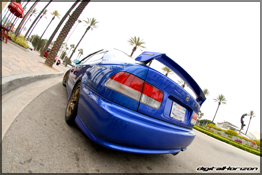 DSC_8376.jpg
