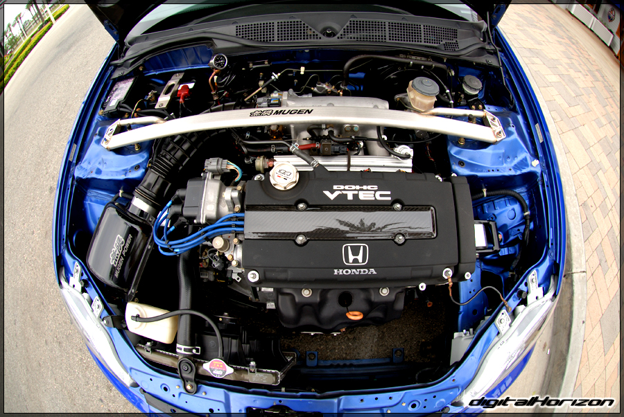 DSC_8393.jpg